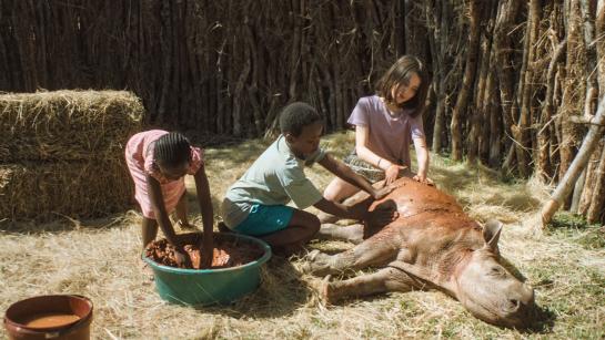Thabo en de neushoornzaak