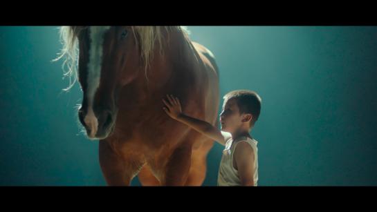 The little horsewhip