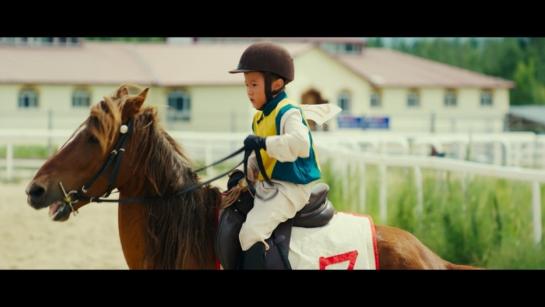 The little horsewhip