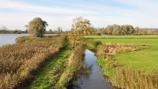 Een landschap in Diksmuide